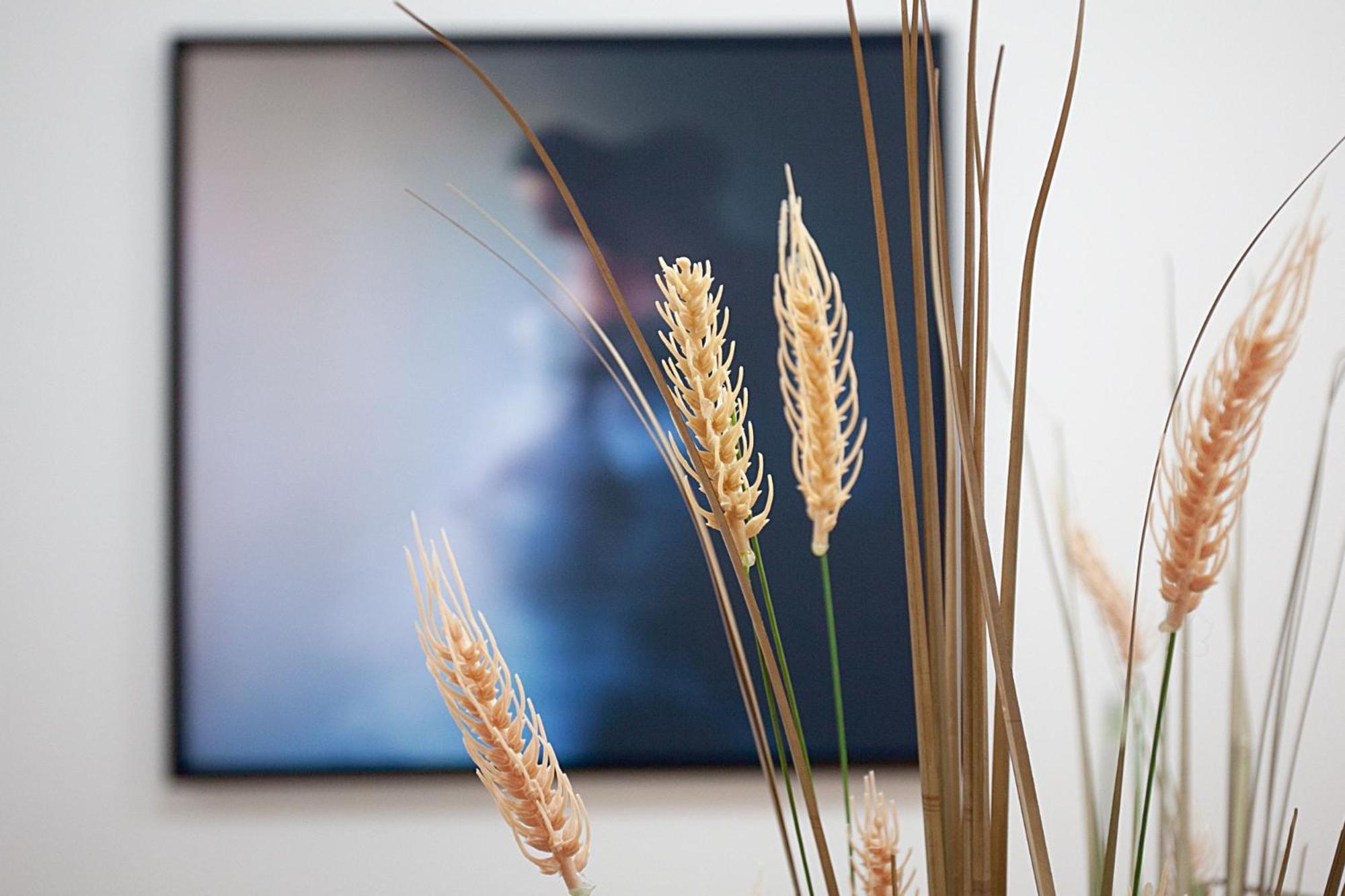 Apartment Chic And Characterful *